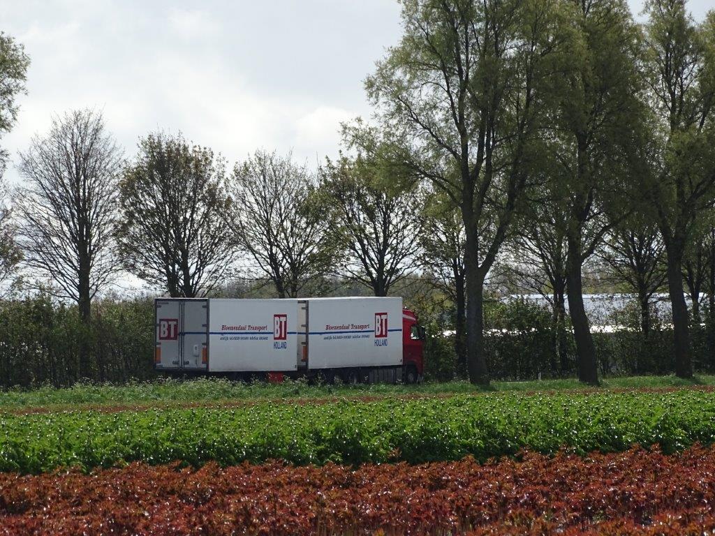 BT-Esdoornlaan